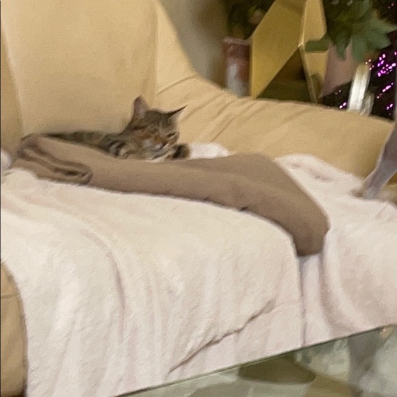 Meet your Posher, Josiane - Picture 1 of 1